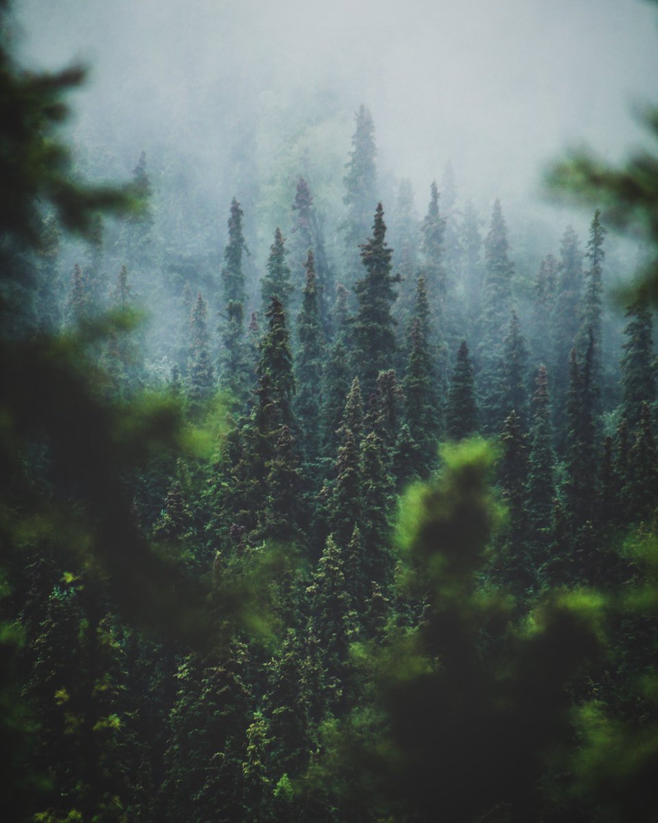 Sights Of Sara tweet media