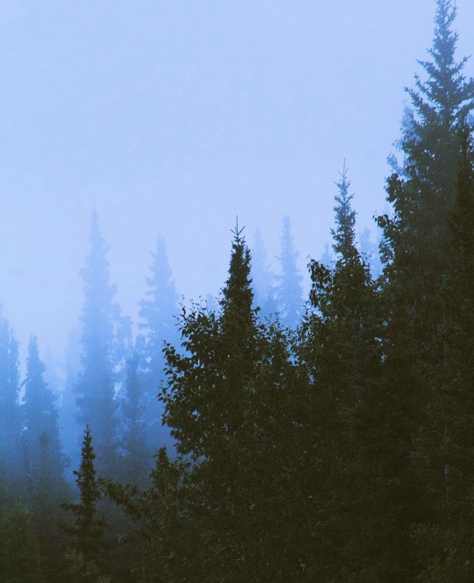 Sights Of Sara tweet media