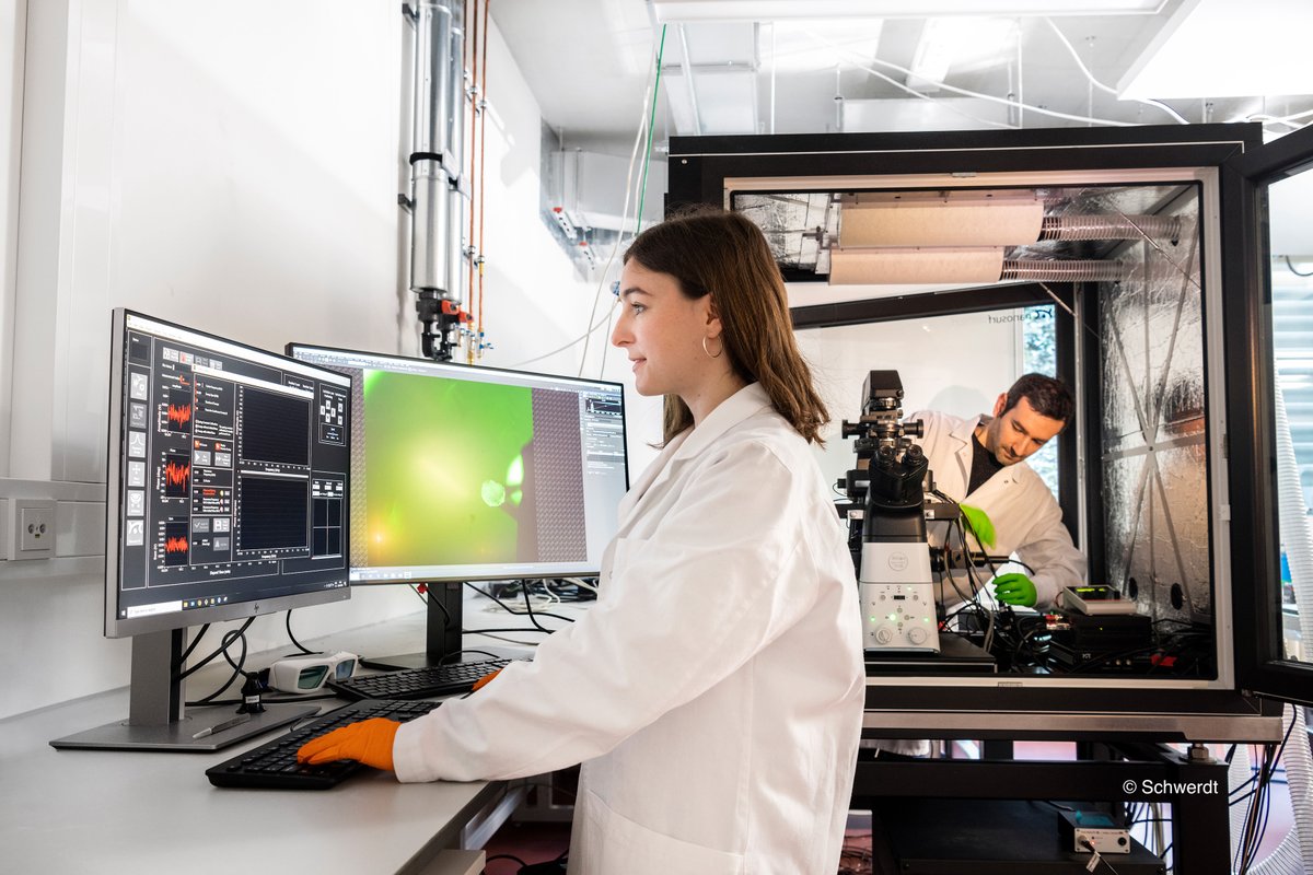 Neuer Forschungsbau für das Engineering von lebensinspirierten molekularen Systemen: Wissenschaftsrat hat Empfehlung für den Neubau ausgesprochen – Raum für innovatives Forschungsprogramm in den Ingenieurwissenschaften
uni-heidelberg.de/en/newsroom