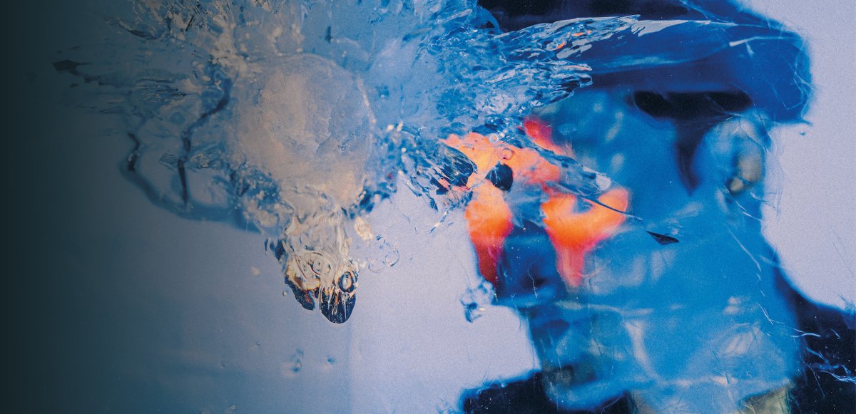 Alternative Classical tweet media