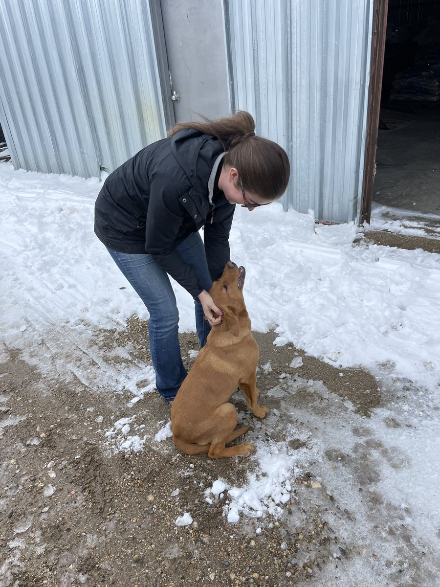SeCanLauren's tweet photo. When u take @SeCan new girl from Ontario @ReaneyCass on a tour thru NE #Sask in terrible driving conditions, u gotta end it with a trip to the Bear’s Den Gronlid #Sask #worthit #SeedDogsOfTwitter #AprilBlizzard #plant23 #seed deliveries 🚚 #BirthdayGirl https://t.co/BUyOJ4zI3W
