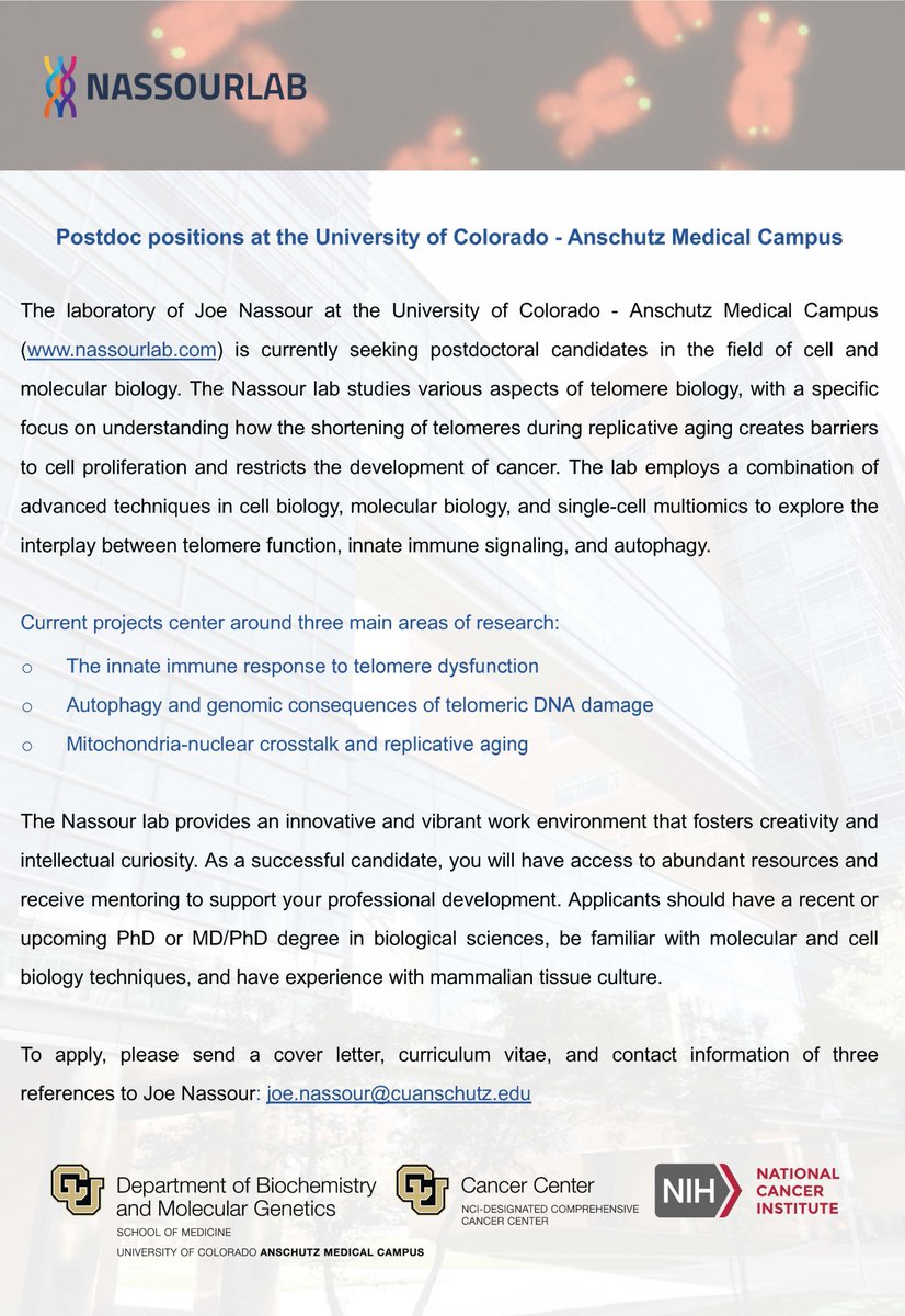 Postdoc positions are available in our group at the University of Colorado @cuanschutz to study the crosstalk between telomeres and mitochondria in innate immunity. See details below, and feel free to DM or email me for further info!