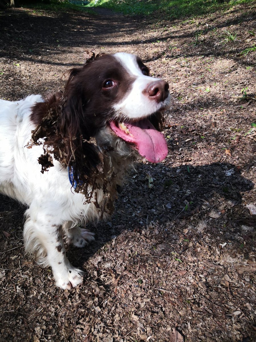 Suzie Moore tweet media