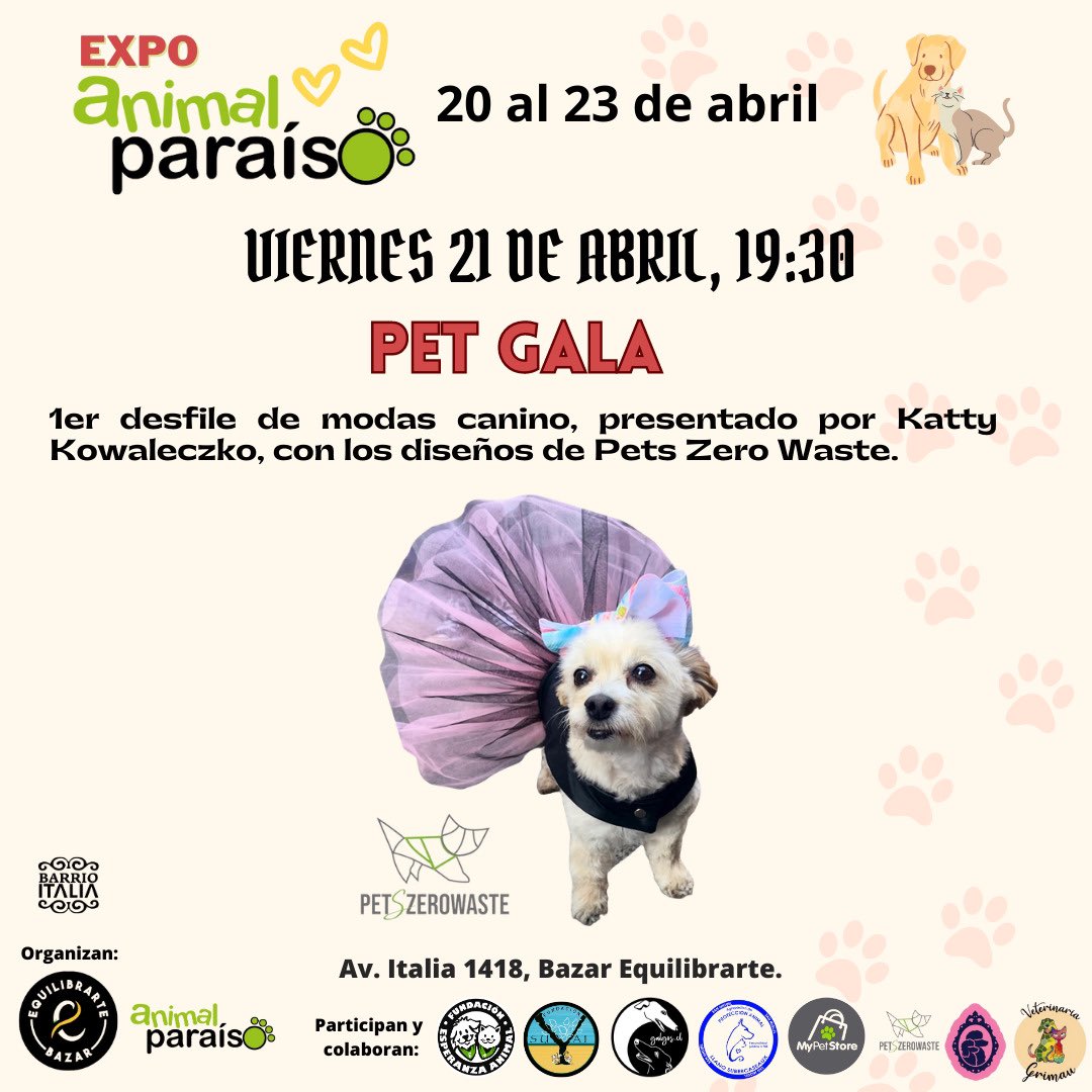 Protección Animales tweet media