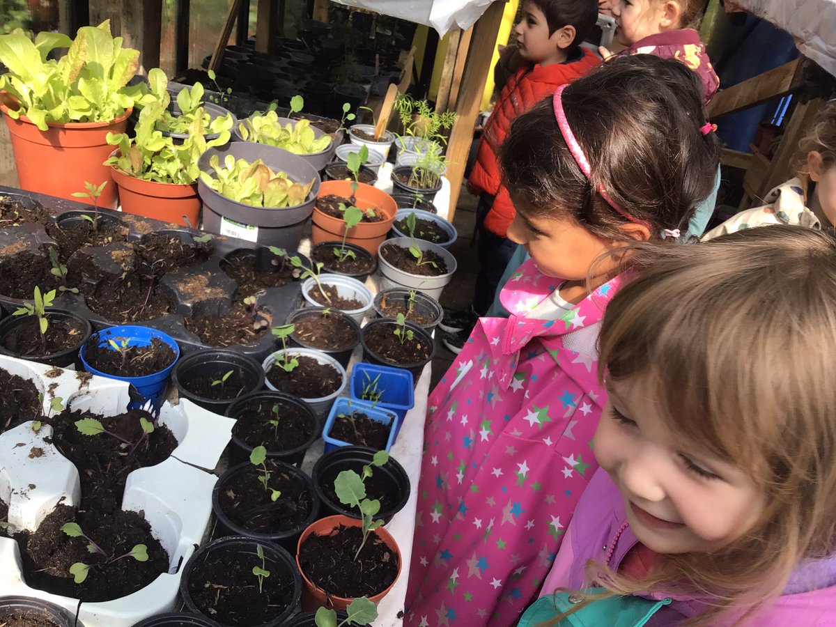 BSNJSV's tweet photo. Earth Day 2023
A day full of seed planting, greenhouse visiting, ink dripping fun! Developing an awareness of caring for our planet with our youngest learners #JSVFoundation1 #EarthDay #caringfortheenvironment ๐ฑ https://t.co/Q4UmXloo7O