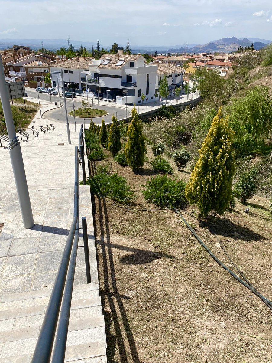 Aurora Suárez tweet media