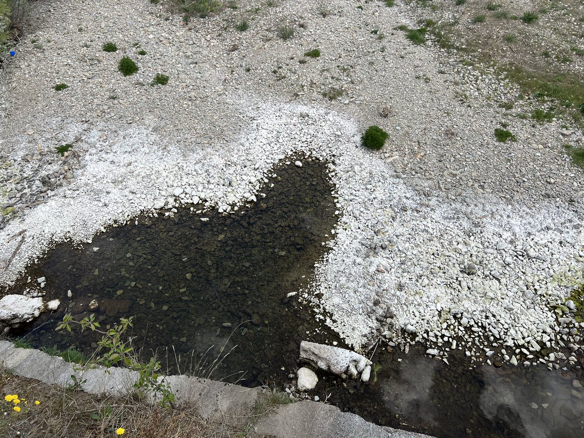 DanniPilger's tweet photo. 21.4.23 #Klimawandel ausgetrockneter #fluss #oja zwischen #SANTODOMINGODelacalzada und #Granon auf dem #CaminoFrances #Klimakatastrophe #Klimaschutzgesetz #Klimakleber #trockenheit #caminodesantiago #endextinction #ClimateCrisis #ClimateEmergency #ClimateJustice https://t.co/TzetfdxPQU