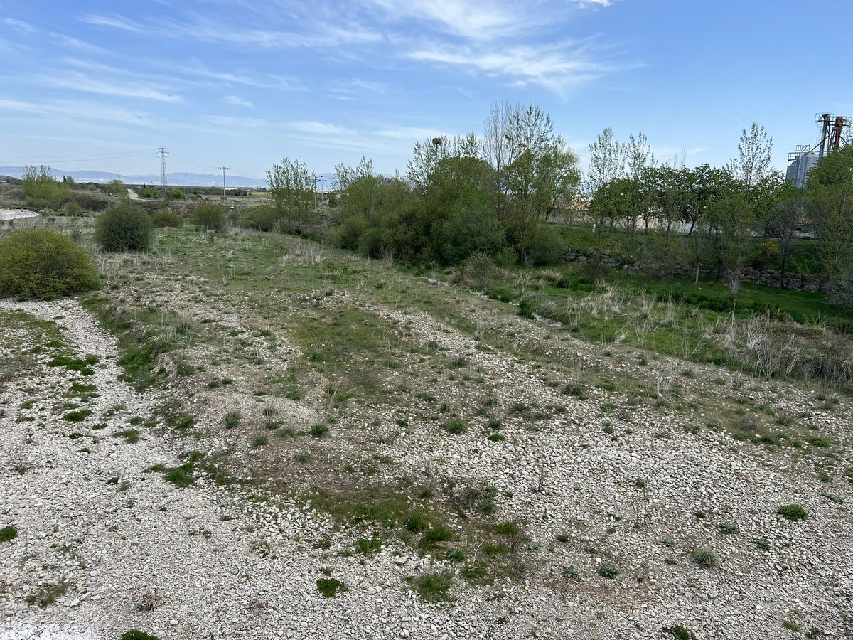 DanniPilger's tweet photo. 21.4.23 #Klimawandel ausgetrockneter #fluss #oja zwischen #SANTODOMINGODelacalzada und #Granon auf dem #CaminoFrances #Klimakatastrophe #Klimaschutzgesetz #Klimakleber #trockenheit #caminodesantiago #endextinction #ClimateCrisis #ClimateEmergency #ClimateJustice https://t.co/TzetfdxPQU