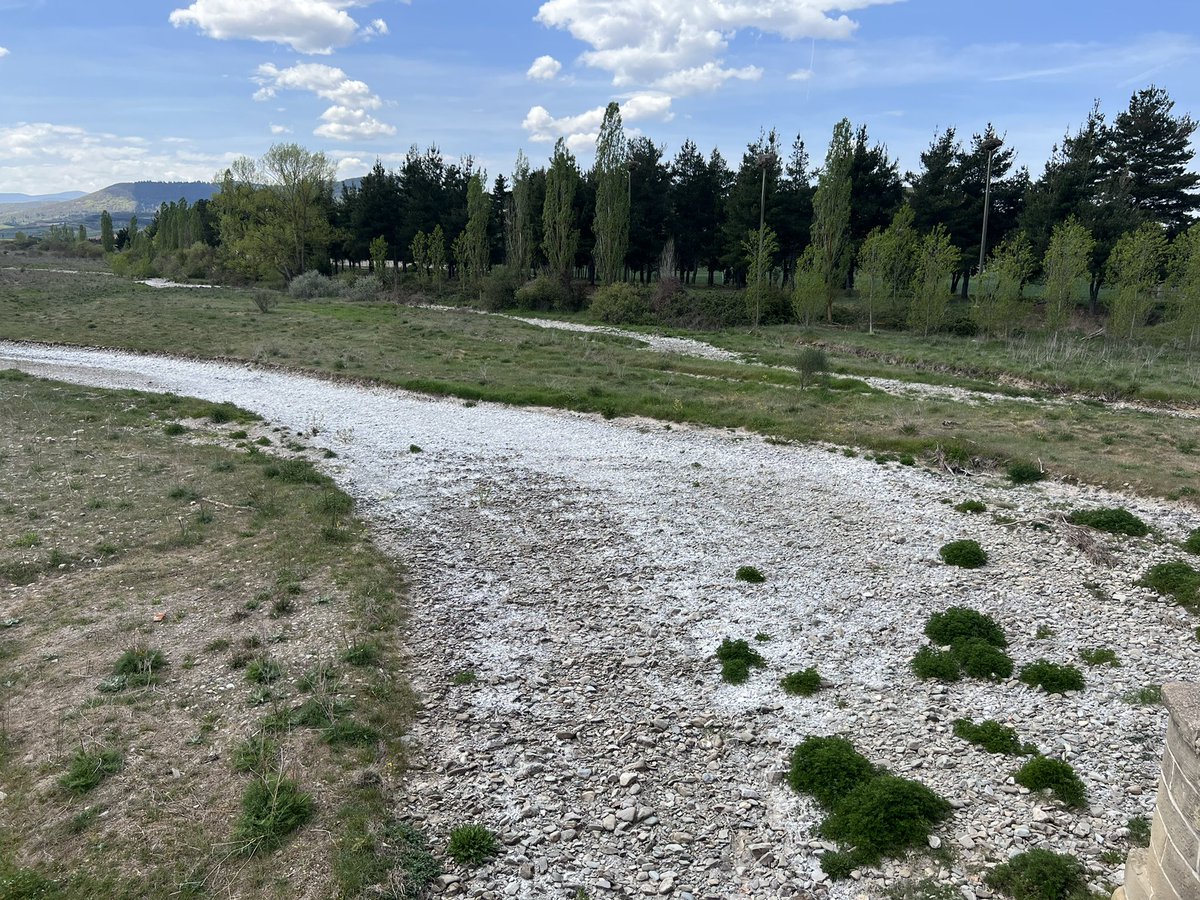 DanniPilger's tweet photo. 21.4.23 #Klimawandel ausgetrockneter #fluss #oja zwischen #SANTODOMINGODelacalzada und #Granon auf dem #CaminoFrances #Klimakatastrophe #Klimaschutzgesetz #Klimakleber #trockenheit #caminodesantiago #endextinction #ClimateCrisis #ClimateEmergency #ClimateJustice https://t.co/TzetfdxPQU