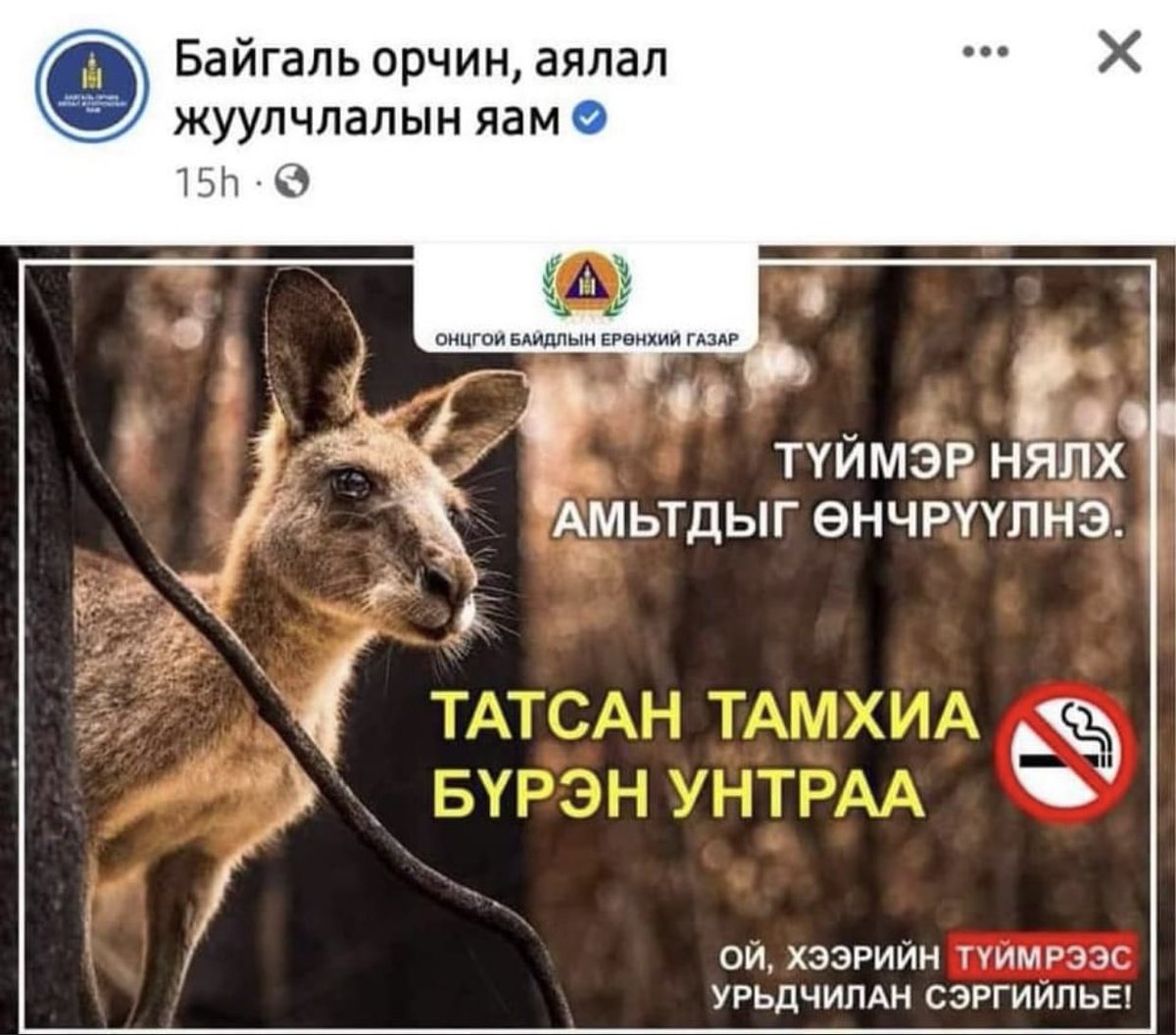 Байгаль орчны яамны имжтэй пост хэсэг шуугиулсан. Тэгсэн яамных нь үүдэнд цагаан баавгай, бамбарууштайгаа байна лээ. Ямар нэг логик энэнд байх л ёстой. Зүгээр би л тэрийг нь олж харахгүй байгаа гэж бодоод өнгөрсөн дөө.