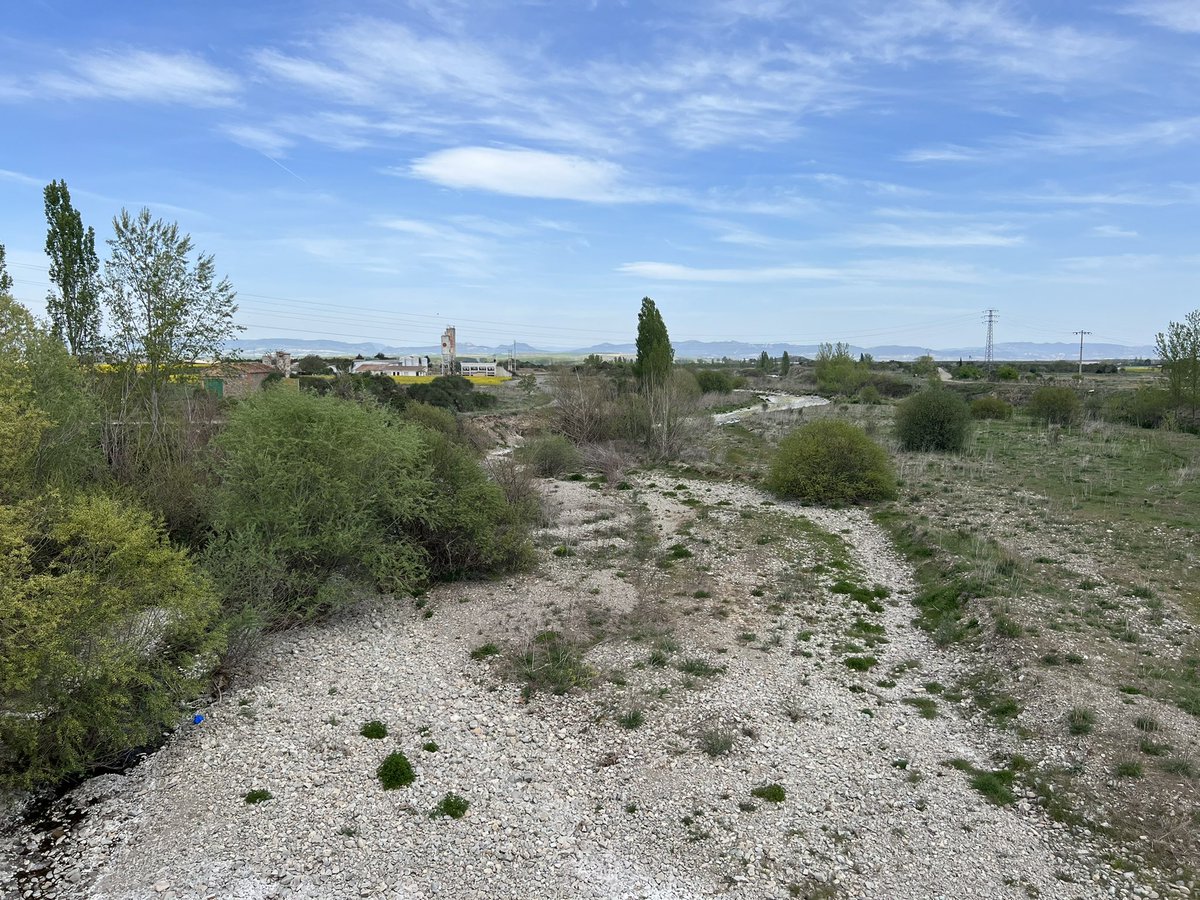 DanniPilger's tweet photo. 21.4.23 #Klimawandel ausgetrockneter #fluss #oja zwischen #SANTODOMINGODelacalzada und #Granon auf dem #CaminoFrances #Klimakatastrophe #Klimaschutzgesetz #Klimakleber #trockenheit #caminodesantiago #endextinction #ClimateCrisis #ClimateEmergency #ClimateJustice https://t.co/giaMcV8ttn