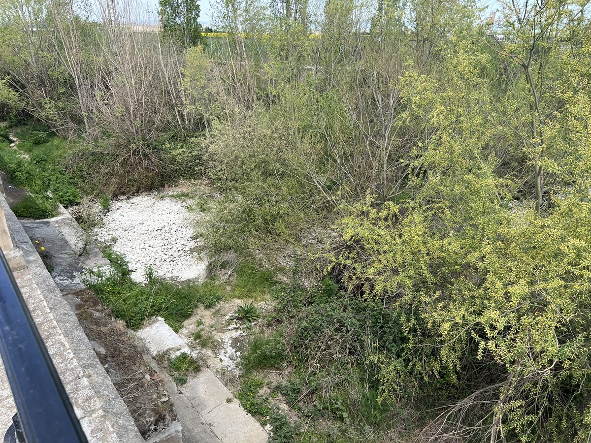 DanniPilger's tweet photo. 21.4.23 #Klimawandel ausgetrockneter #fluss #oja zwischen #SANTODOMINGODelacalzada und #Granon auf dem #CaminoFrances #Klimakatastrophe #Klimaschutzgesetz #Klimakleber #trockenheit #caminodesantiago #endextinction #ClimateCrisis #ClimateEmergency #ClimateJustice https://t.co/giaMcV8ttn