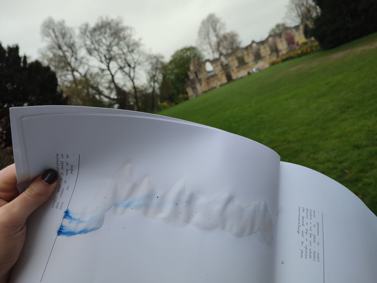 RLDrake's tweet photo. Out in my local environments with @brihughespoet 'Rhizomes' (@brokensleep). Strange chance chose pink crayon on the way out the door! I love how this collection invites you in to break apart its language and pour your own into the cracks. And the π footnote sequence!
#HowWeRead https://t.co/3Nlq2MakGe