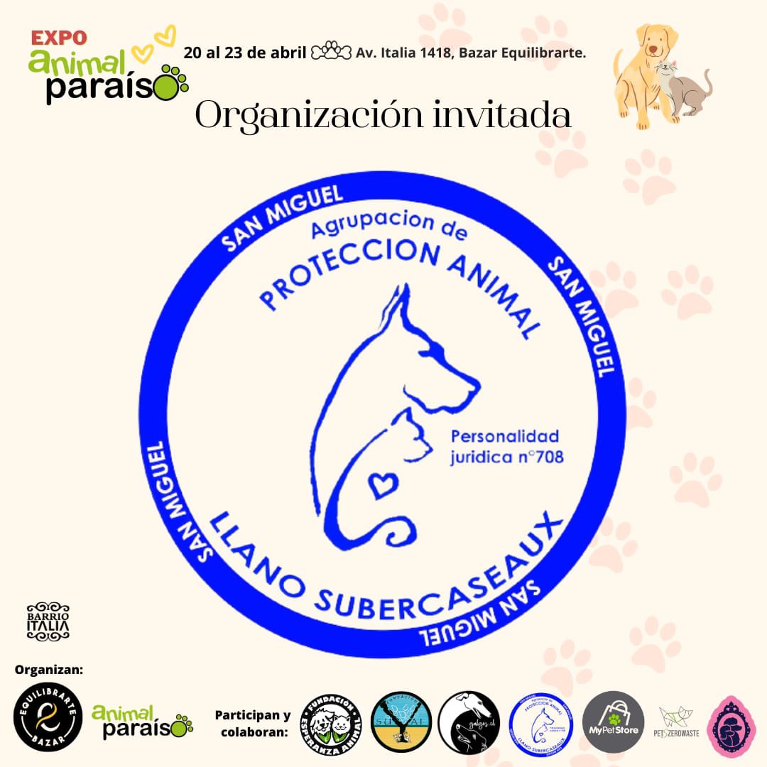 Protección Animales tweet media