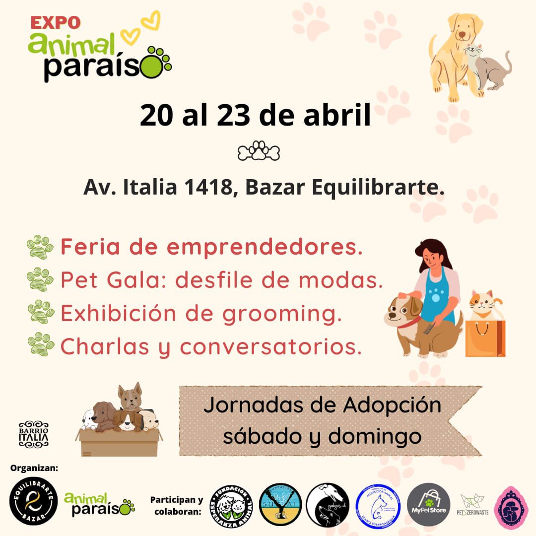 Protección Animales tweet media