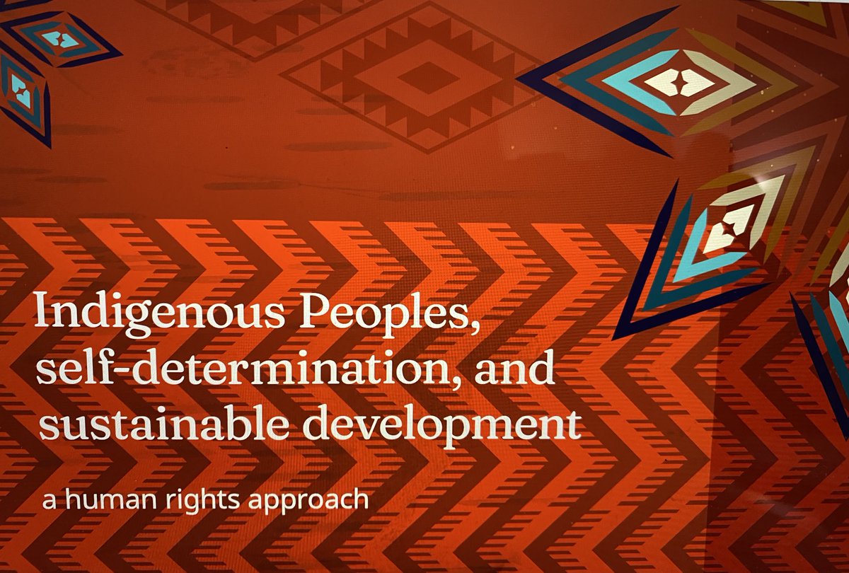 Speaking today 1.15 pm EDT @UN4Indigenous⁩ side event report launch by co-author Celeste McKay (Red River Métis Nation),Chief Wilton Littlechild (Maskwacis Cree)⁦@MAboubakrine⁩ (Mali) Alexandre Lévêque,Assistant Deputy Minister Strategic Policy #Canada ⁦@CanadaDev⁩