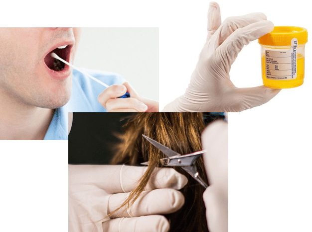 DTstateLaws's tweet photo. Happy National Surprise Drug Test Day! Do you know which screening method is best for detecting recent substance use? Is a 'surprise' drug test allowed? Submit your answers below. If you don't know - reach out to the DSCI Compliance Team! #drugtesting #hrcompliance #marijuana https://t.co/plRKCJPBzm