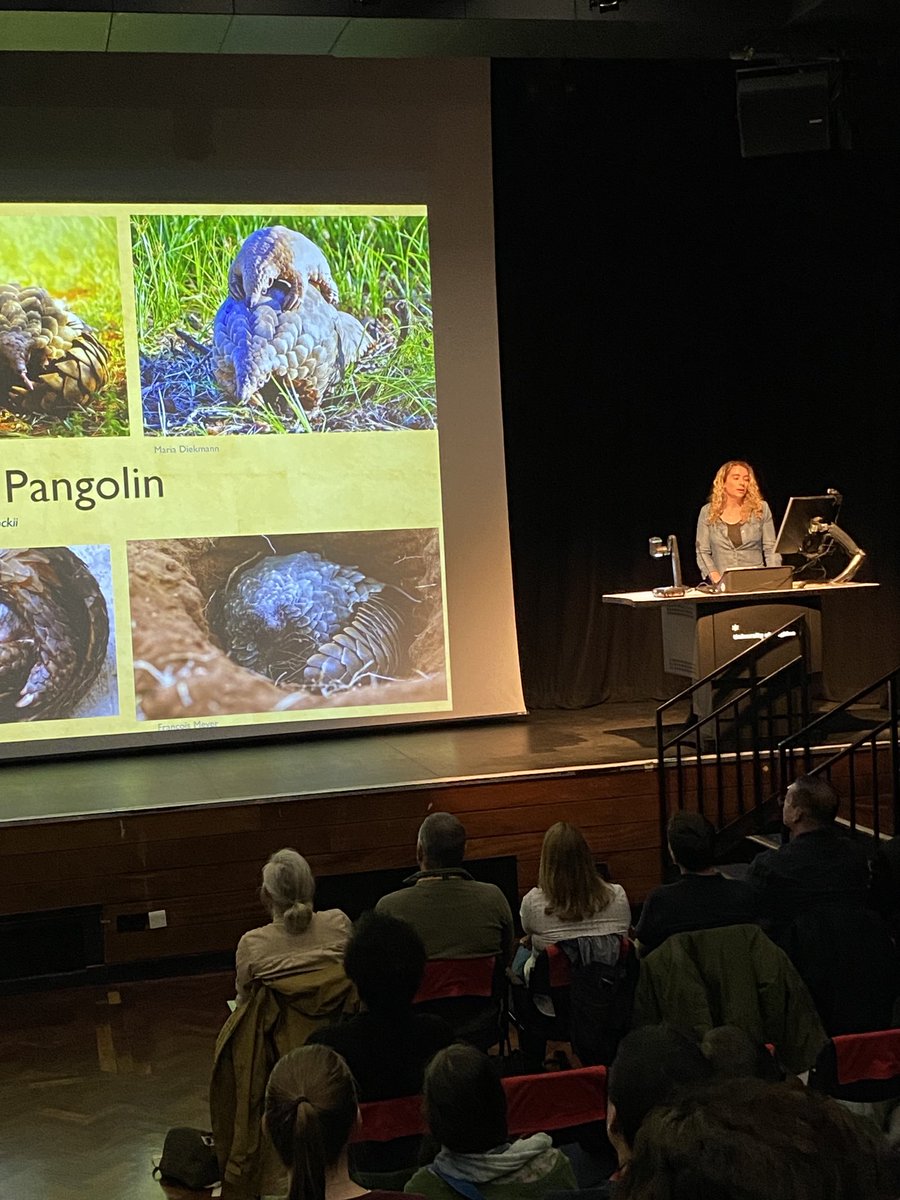 Brighton Doctoral College tweet media