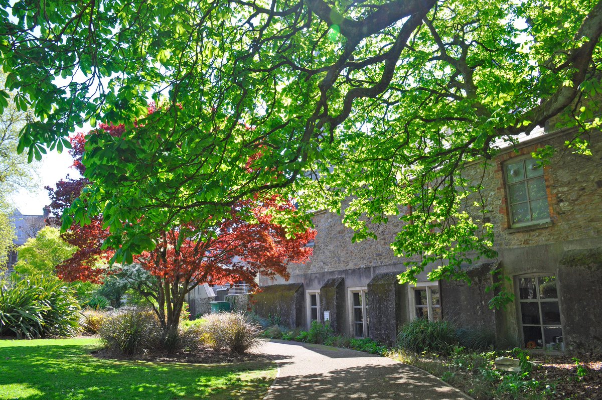 PlymUniEvents's tweet photo. Spring is in full bloom on our campus!

What a perfect time for our Open Day visitors to experience what we offer.  

Download a programme, plan your day and register your place👇https://t.co/iS2ecI4k6W #Plymouth https://t.co/BN00FYHVbO