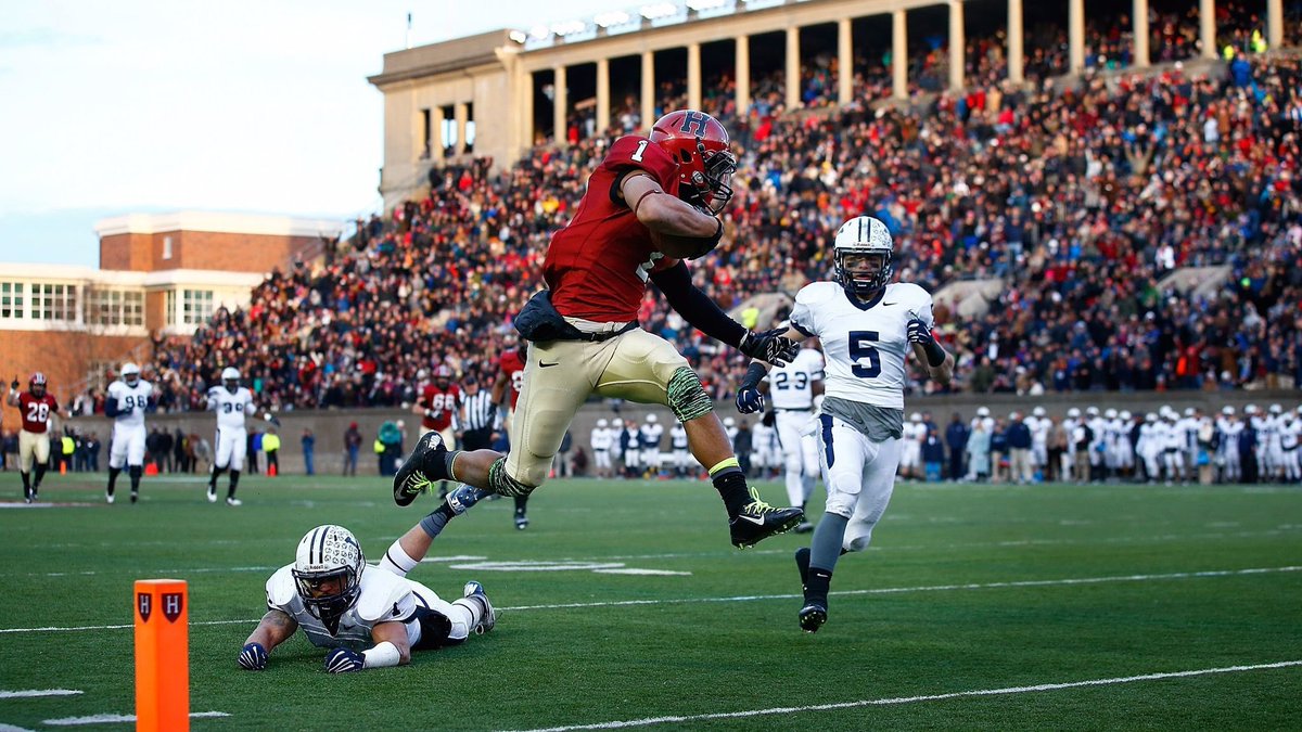 Drew Hickmott tweet media