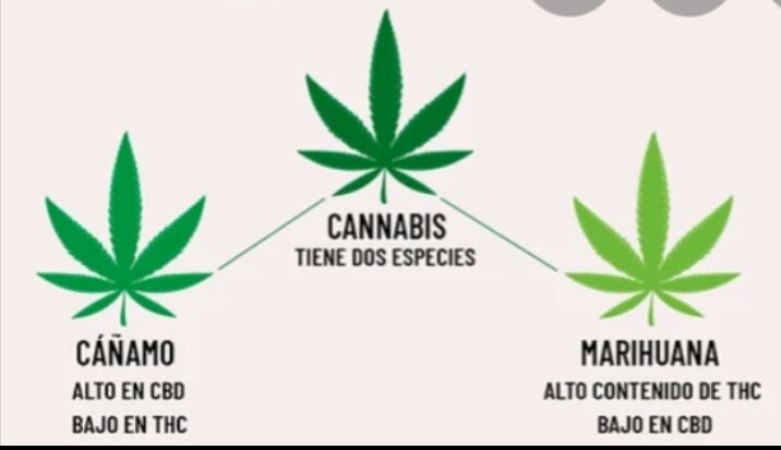 2Charovascal's tweet image. 