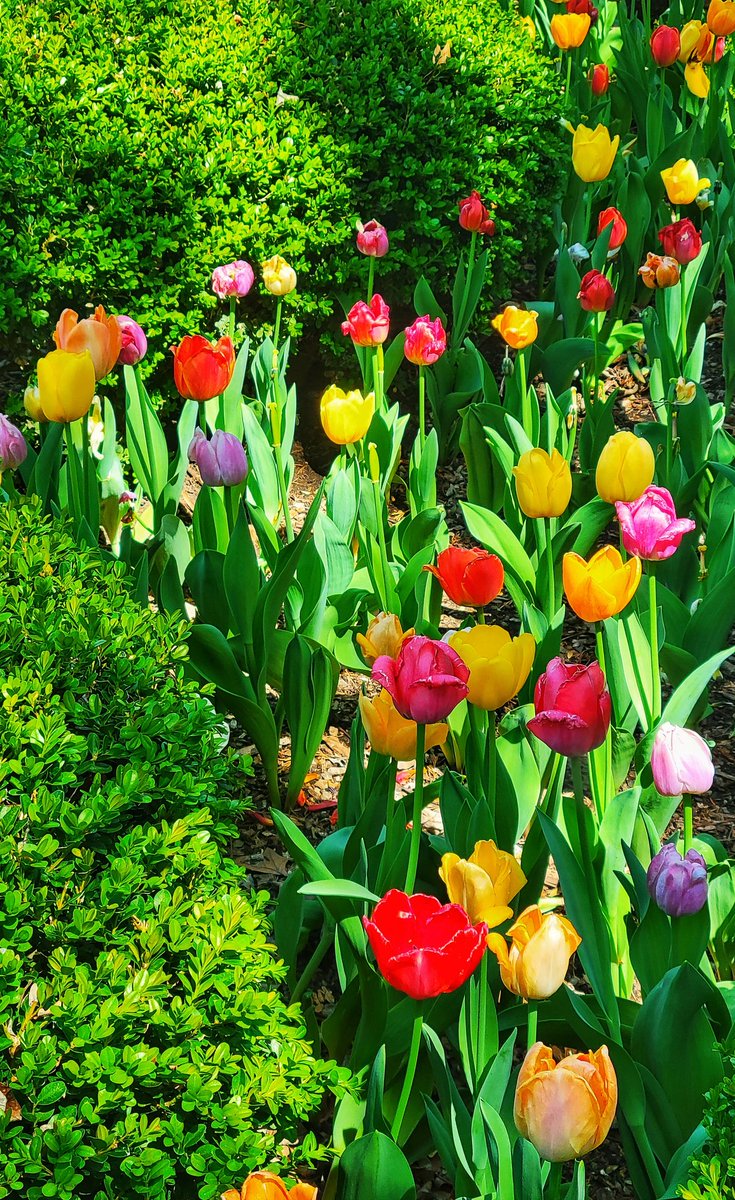 Skyakin Photography tweet media