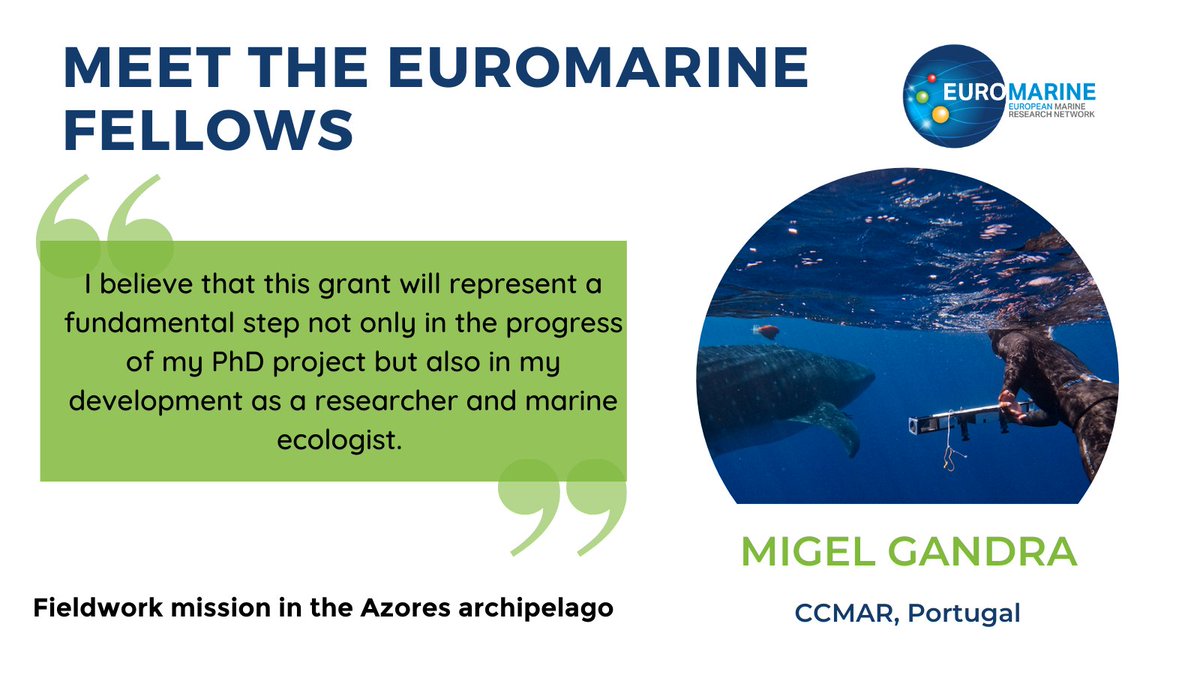 EuroMarine tweet media