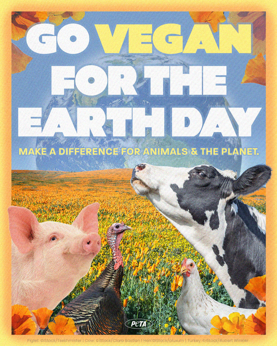 peta's tweet photo. @simonna ๐ Earth Day is this Saturday, April 22nd! ๐ It is urgent for folks to acknowledge the impact of their food choices on the planet & every species living on it.
Join us in retweeting & inspiring everyone to go #VeganForEarthDay and beyond! ๐ https://t.co/XqOGTZVym9