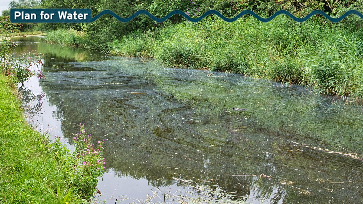 Polluters must pay for damaging our environment.

We want your opinions on lifting the cap on environmental civil sanctions to increase penalties on polluters.

Send in your views 👉 consult.defra.gov.uk/water-industry…

#PlanForWater
