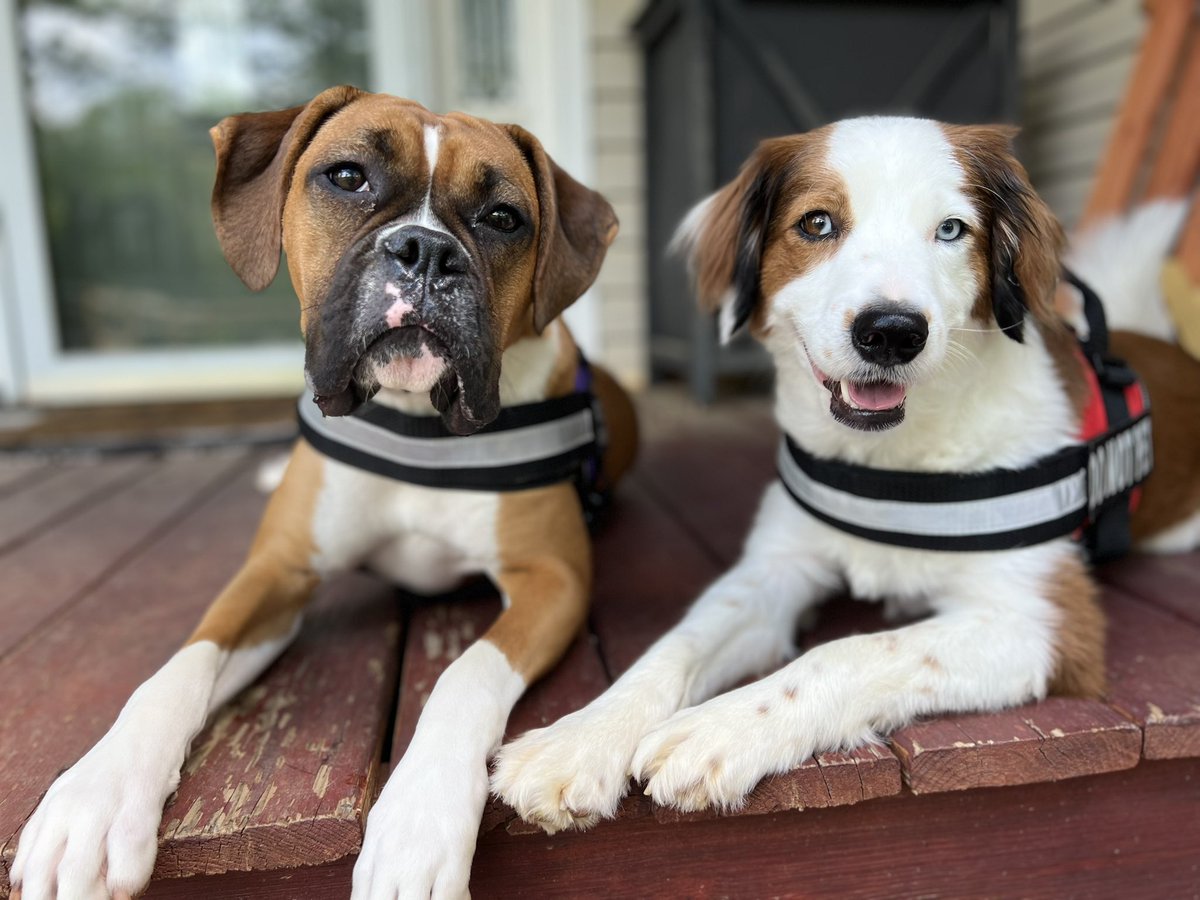 Bark_Beyond's tweet photo. The last 2 weeks have been hard. We are having a less than stellar month in revenue. It makes it really hard since March was the best month since opening the business in 2020. 🐾 

I’m trying to keep my head up. I know we all have ups and downs as a business and on a personal level. This is real life and we will get through it. Not every day is a good day in real life. 🫶🏻

Let’s see your cute #pet pics to make us smile and to bring smiles to everyone that is having a hard time. 😊 

#KindnessMatters #Smile #SmallBusiness #FridayFeeling #dogs #dogsoftwitter #cats #CatsOfTwitter 

👉 https://t.co/E5fQJOVzaS