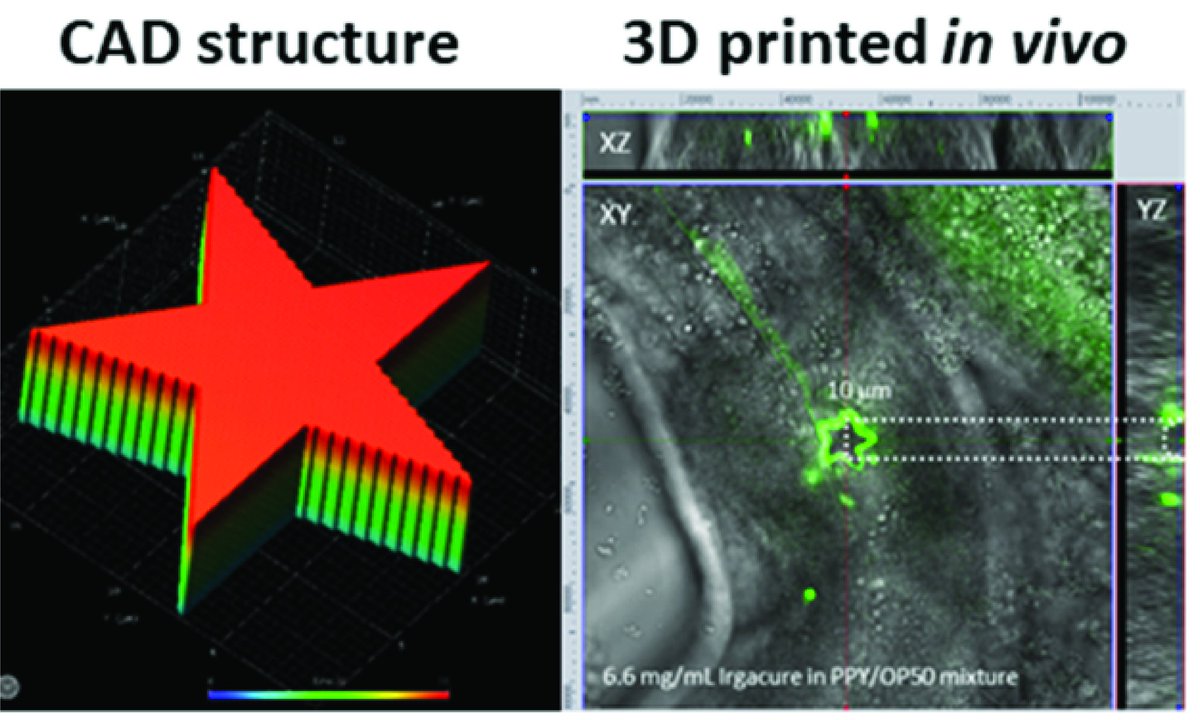 Jess Fisher tweet media
