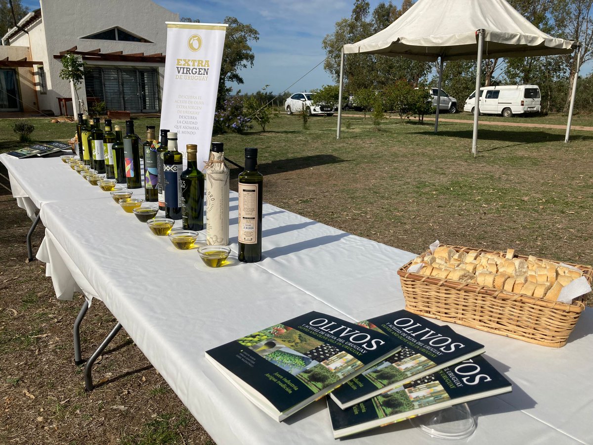 LATU_uy's tweet photo. ¡Un placer para el #LATU y @latitud_uy acompañar el Lanzamiento Nacional de la Cosecha de Olivos 2023 en Casupá, Florida! Celebremos juntos la calidad del aceite de oliva uruguayo 🌿🫒🇺🇾 #asolur #aove #aoveUY #LATUruguay #aceitedeoliva https://t.co/8me1XUYk74