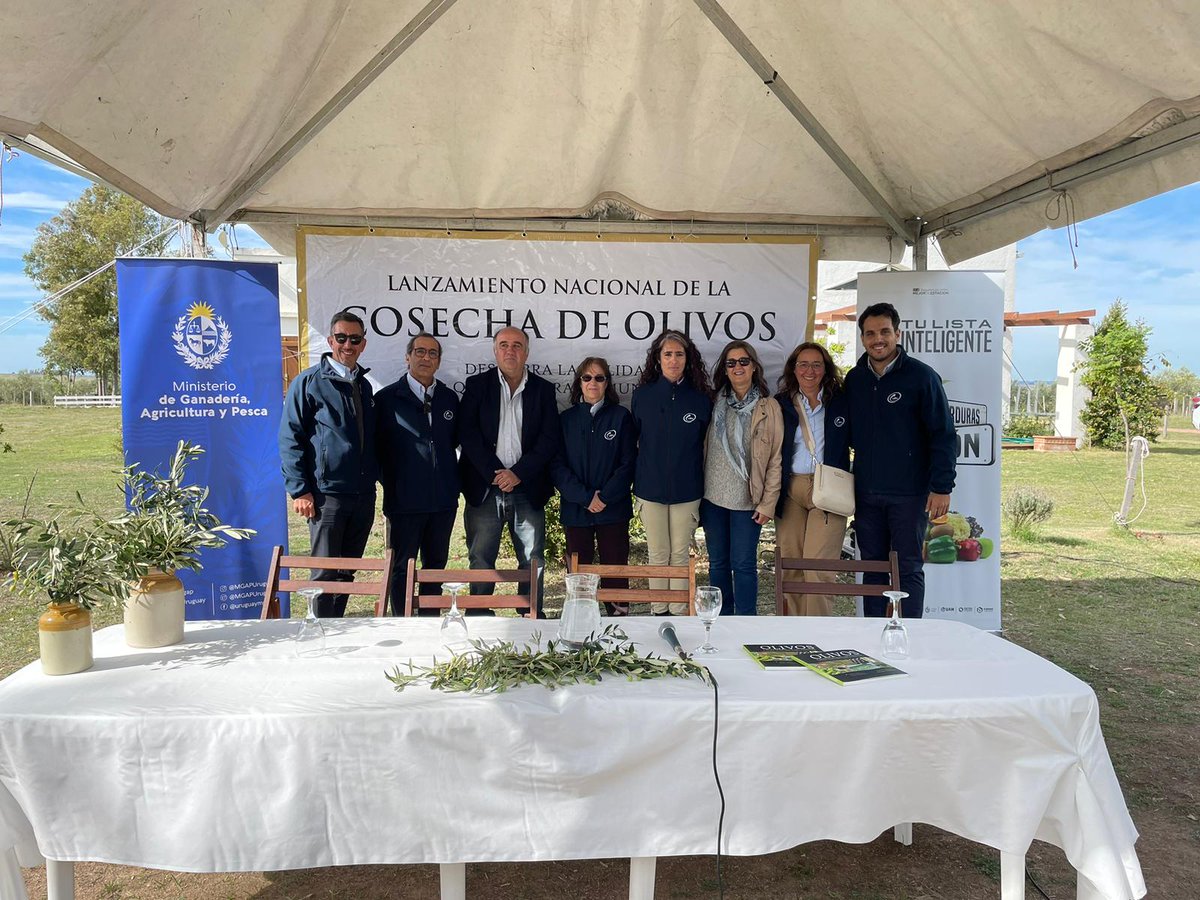 LATU_uy's tweet photo. ¡Un placer para el #LATU y @latitud_uy acompañar el Lanzamiento Nacional de la Cosecha de Olivos 2023 en Casupá, Florida! Celebremos juntos la calidad del aceite de oliva uruguayo 🌿🫒🇺🇾 #asolur #aove #aoveUY #LATUruguay #aceitedeoliva https://t.co/8me1XUYk74