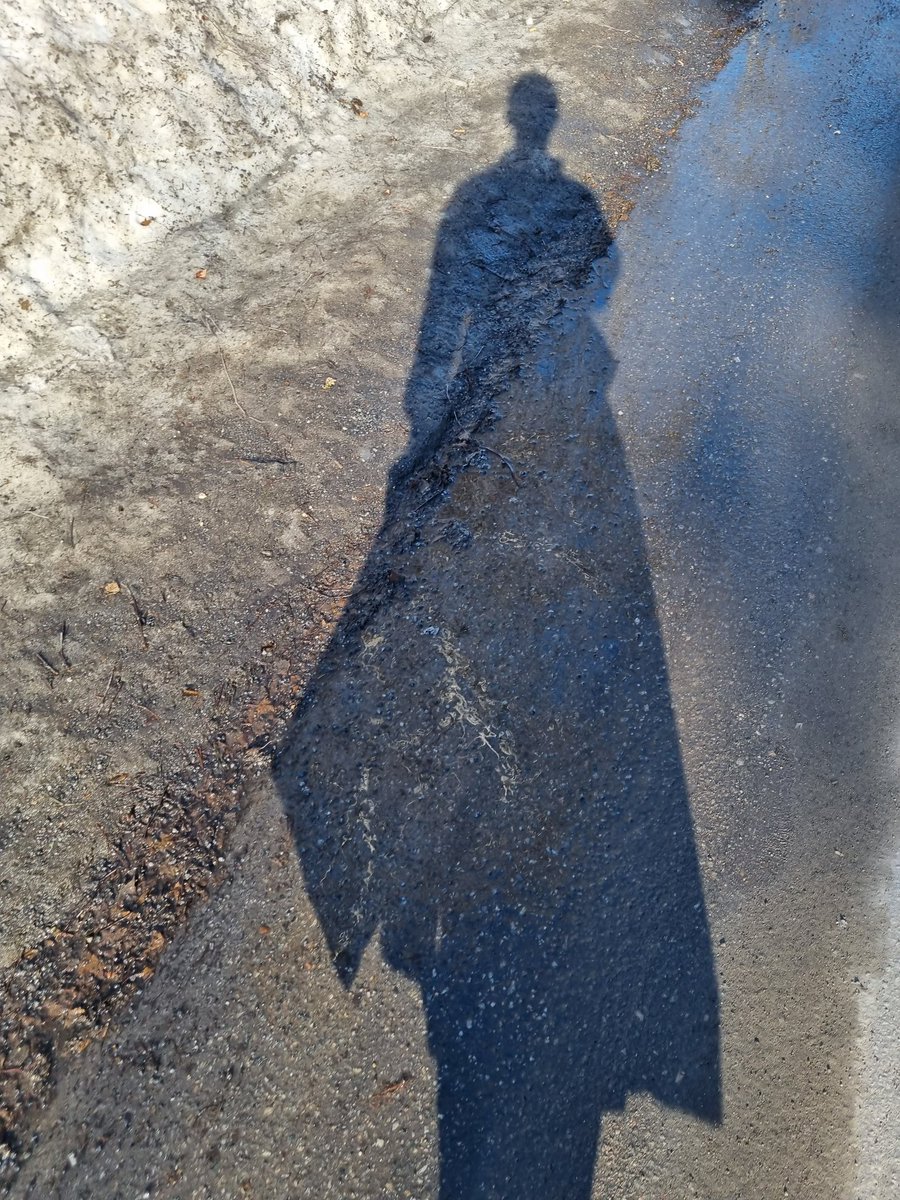 ABBE THE CAT tweet media