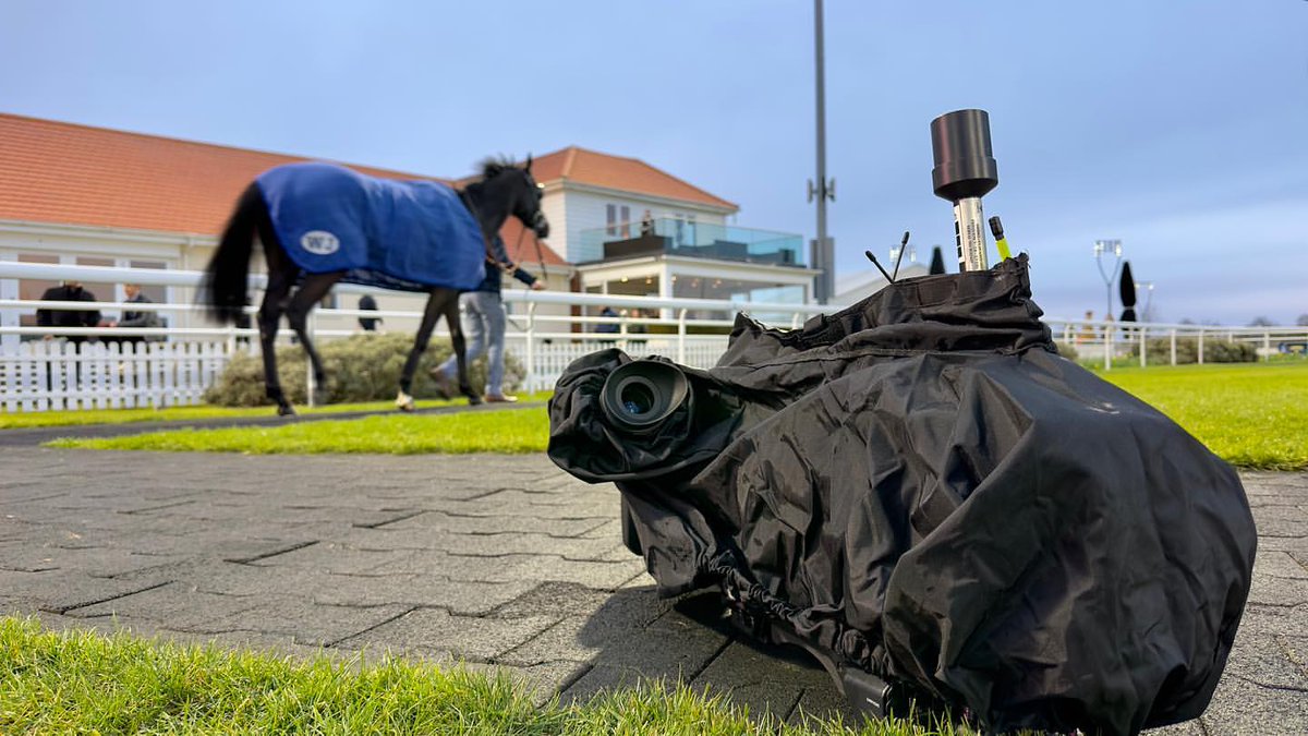 Vislink's tweet photo. When your camera and your horse both agree that rain is not their mane concern. 🌧️🐴 #RainyDayHumor
📷 Steve '#thesailingcameraman'
#vislink #behindthescenes #horses #horseracing #rfcamera #livebroadcast #livetv #racingtv https://t.co/OCBaYx33FX