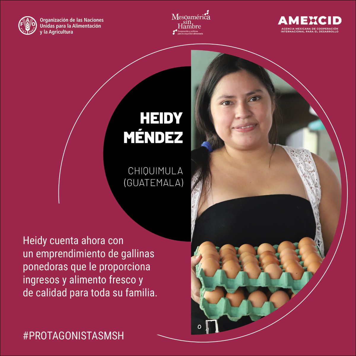 FAOMesoamerica's tweet image. 🇬🇹 Heidy Méndez, de #Guatemla, es una de muchos #ProtagonistasMSH de #MesoaméricaSinHambre @AMEXCID-@FAO.

Lea más testimonios y experiencias de mujeres y hombres que desde los territorios contribuyen a la lucha contra el hambre y la pobreza rural:

💻bit.ly/41tdNCg