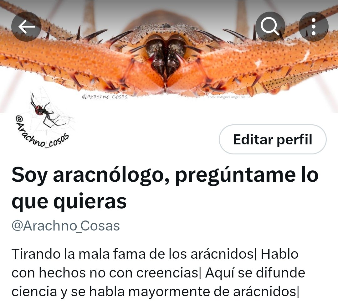Arachno_Cosas's tweet photo. 😢🚫(☑️) https://t.co/U3TR1MMIoN