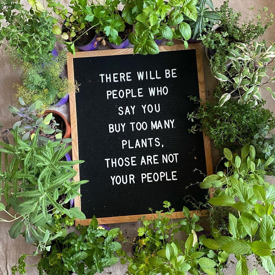 PeopleWPlants's tweet photo. The more the merrier! 😂 https://t.co/S55JQciIx7