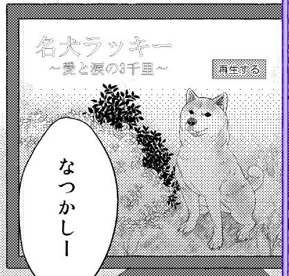 みんな知ってた?名犬ラッキーって柴犬なんだよ 