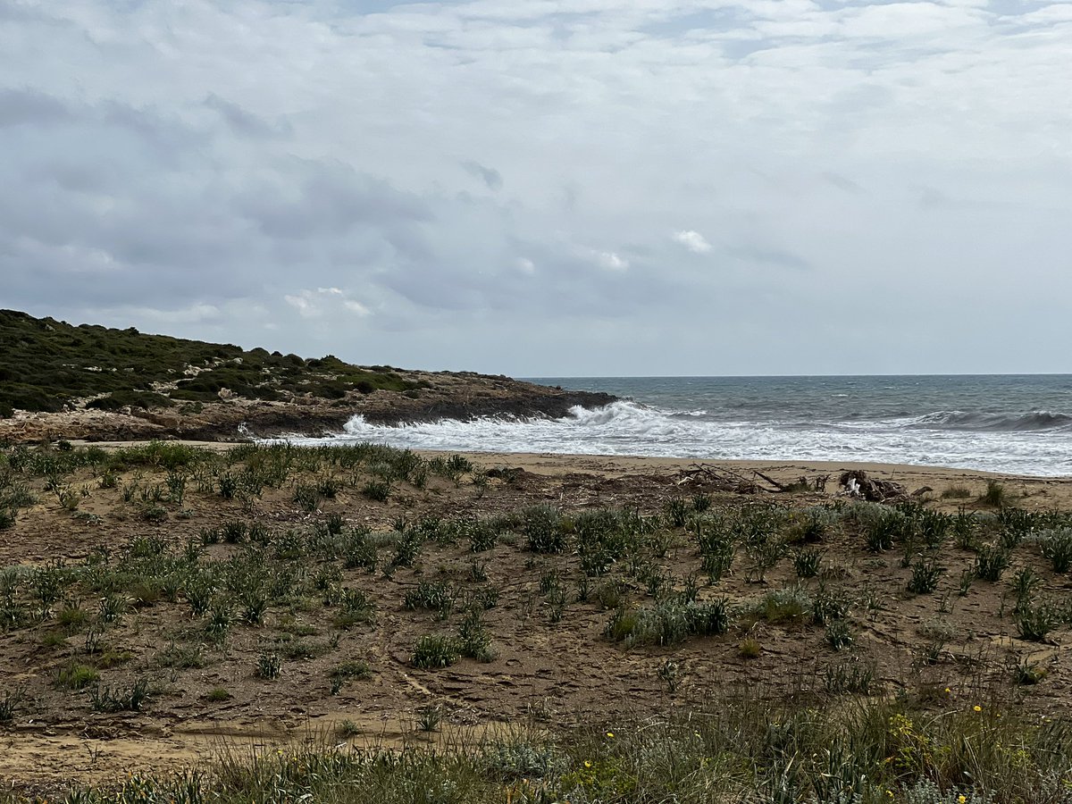 NicolaLercari's tweet photo. #HADESproject update: last day of fieldwork at #Heloros #Sicily. Despite strong winds at 35km/hr we managed to successfully complete our #drone3Dmapping. We produced several 3D models of the city walls and recorded over 450 #GNSS GPCs to georeference previously excavated areas https://t.co/KnQjlHJiGi