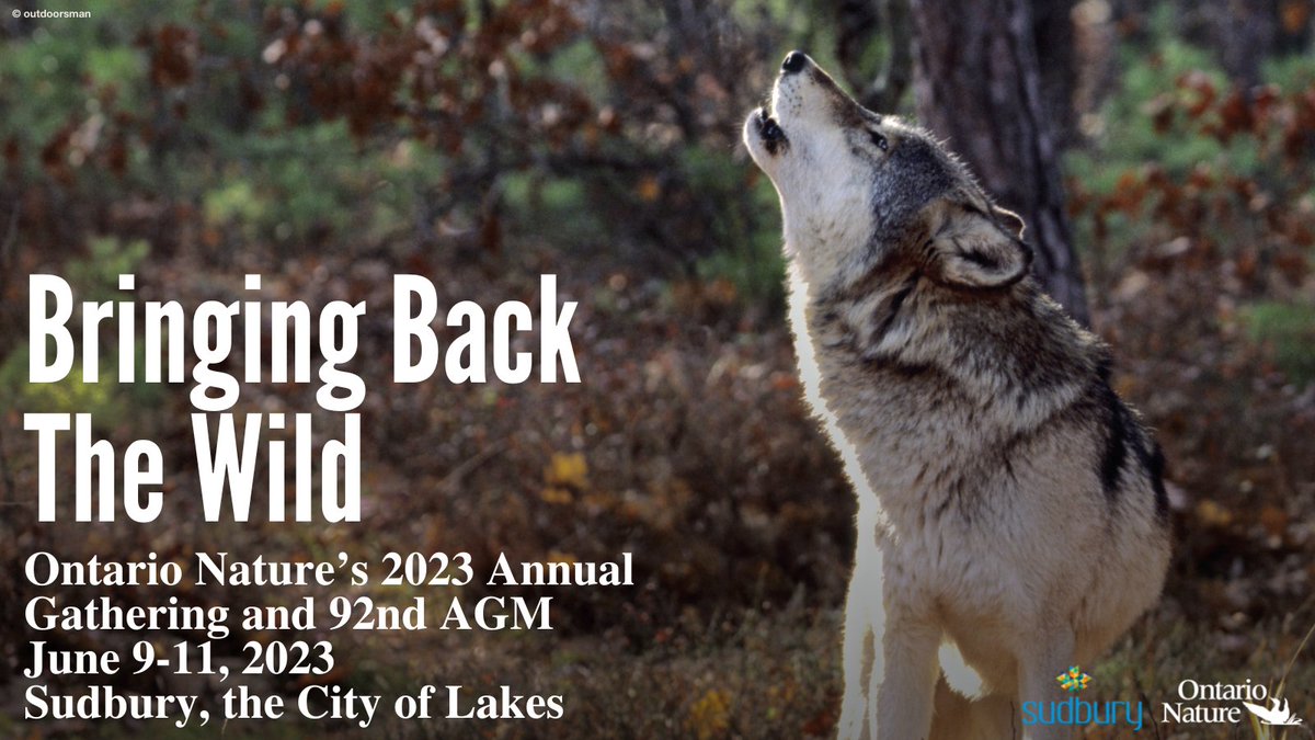 Last chance to register for our Annual Gathering!

Join us at Collège Boréal in Sudbury for a weekend filled with expert-led workshops, lectures, field trips, and opportunities to meet new friends.

Learn more: ow.ly/MV8g50NpgCX <a href="/JunctionCreek/">Junction Creek Stewardship Committee</a> <a href="/GreaterSudbury/">Greater Sudbury</a>