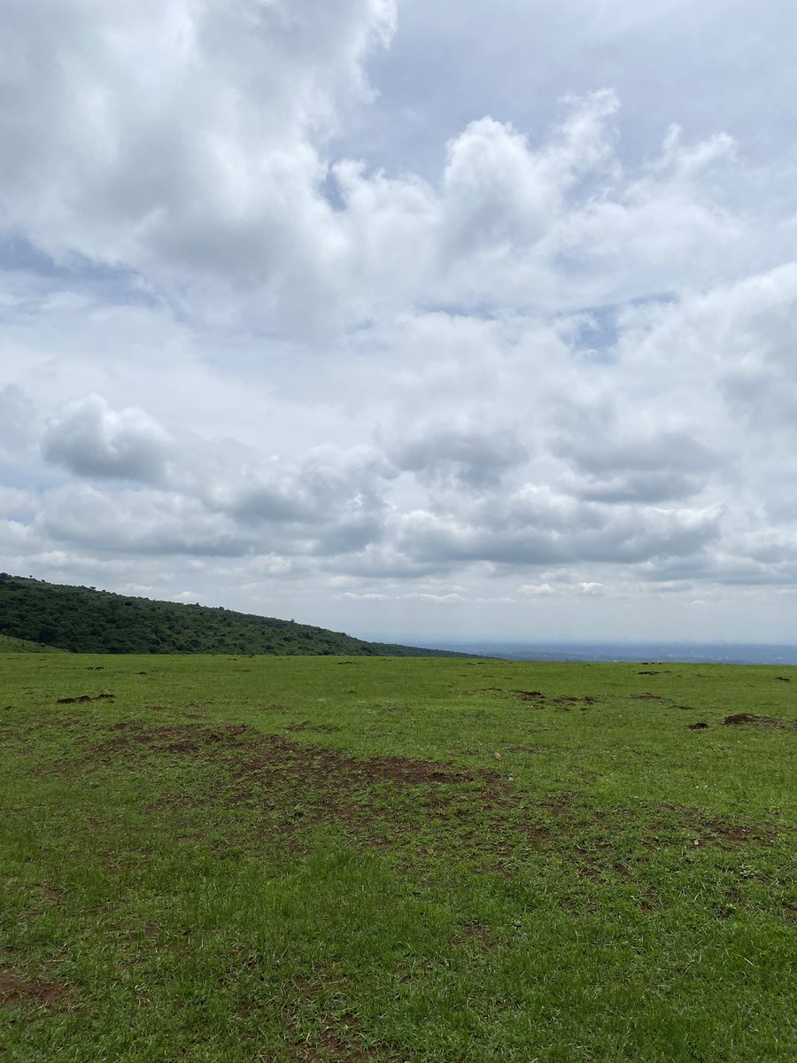 agoro__'s tweet photo. Today was trail running day🤙🏿

Ngong Hills weather was so good for training today :) https://t.co/xwibAwMSyy