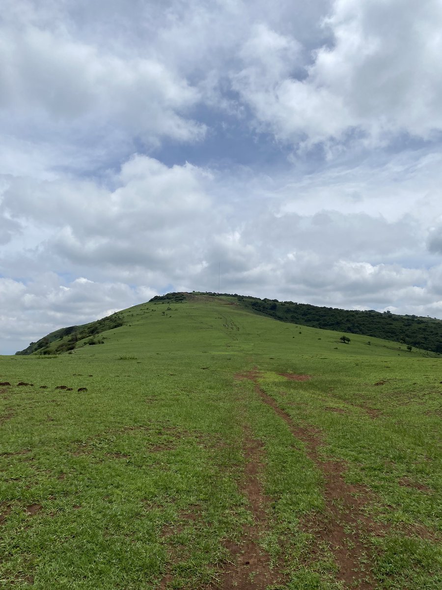 agoro__'s tweet photo. Today was trail running day🤙🏿

Ngong Hills weather was so good for training today :) https://t.co/xwibAwMSyy