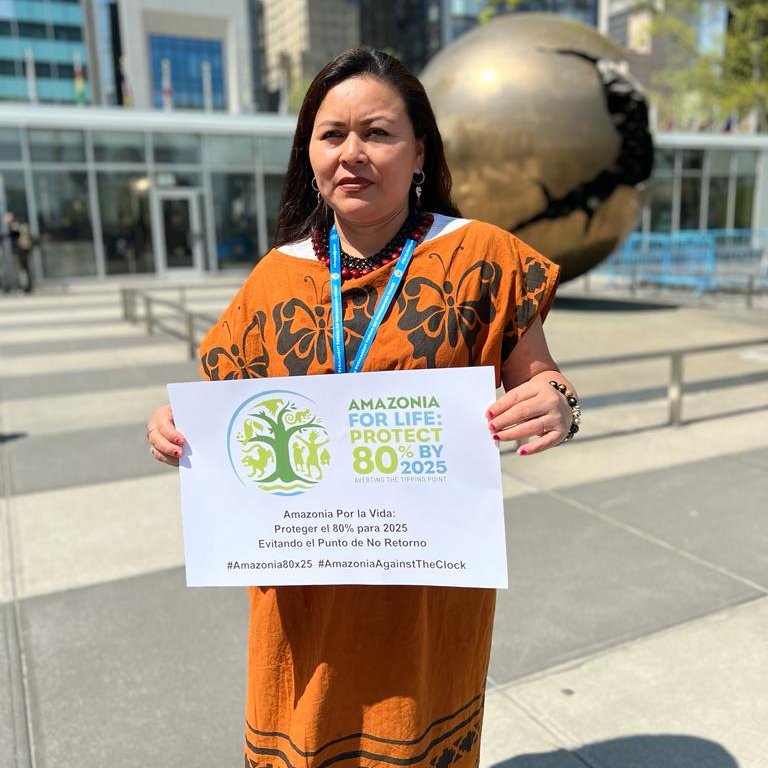 aidesep_org's tweet photo. El informe final del #ForoPermanente debe incluir un llamado para evitar el Punto de No Retorno de la Amazonía.
Los estados de la región amazónica deben proteger 80% para el 2025, expandiendo la titulación de territorios Indígenas.
#Amazonía80x25
#UNPFII https://t.co/UxslwhLueW