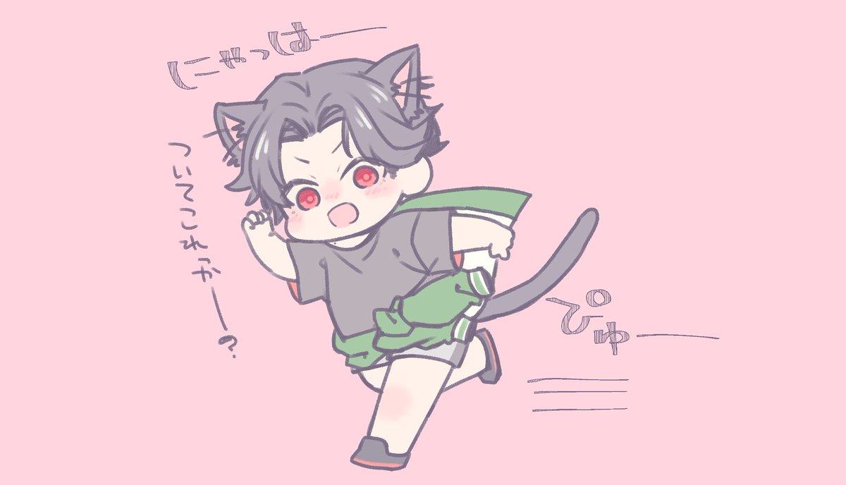 ねこぶぜ2周年だった 2歳です https://t.co/6IvYvAIHaq