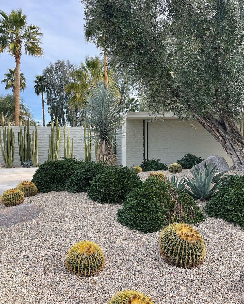 ModernismWeek's tweet photo. Taking it back to this fascinating tour of the Tamarisk neighborhood in Rancho Mirage during Modernism Week. Inspiration was everywhere, and our #PSModSquad @annedereaux couldn't have said it any better:
"Took the Tamarisk walking tour with @preservationmirage x @modernism_week, https://t.co/D8QBs93Zgo