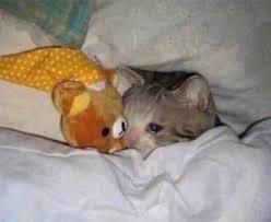 HisIssss's tweet image. Me after posting on my status "tujja tujja"