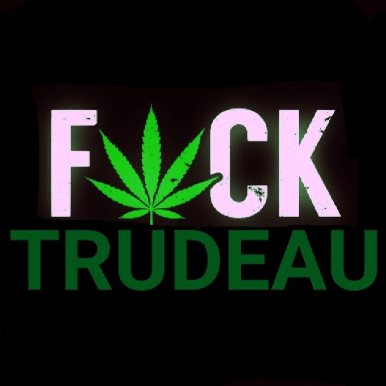 StarForFreedom's tweet photo. @JustinTrudeau @VWGroup https://t.co/VGLwLKjEzM