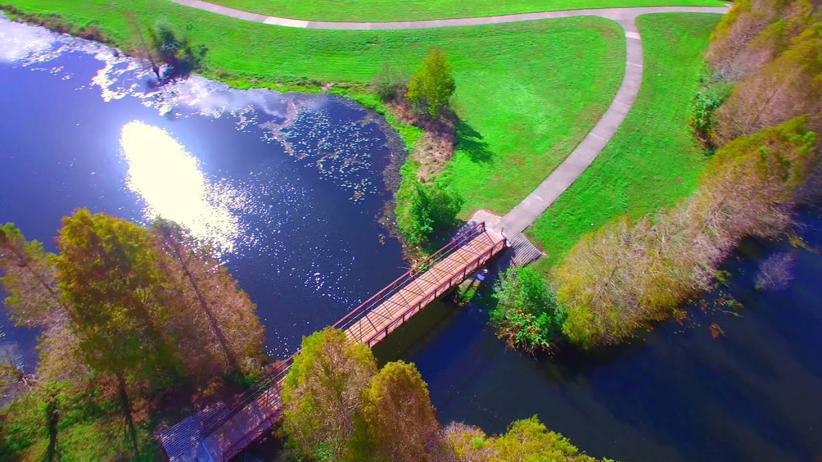 Gateway_Dist's tweet photo. This #EarthDay 🌎 visit La Costa Urban Wetlands. The park allows visitors to explore and observe wildlife in their natural habitat. It has a boardwalk for visitors to walk through the wetlands without disturbing the ecosystem. The park is located at 5814 La Costa Drive, #Orlando https://t.co/HGeHblXZWv