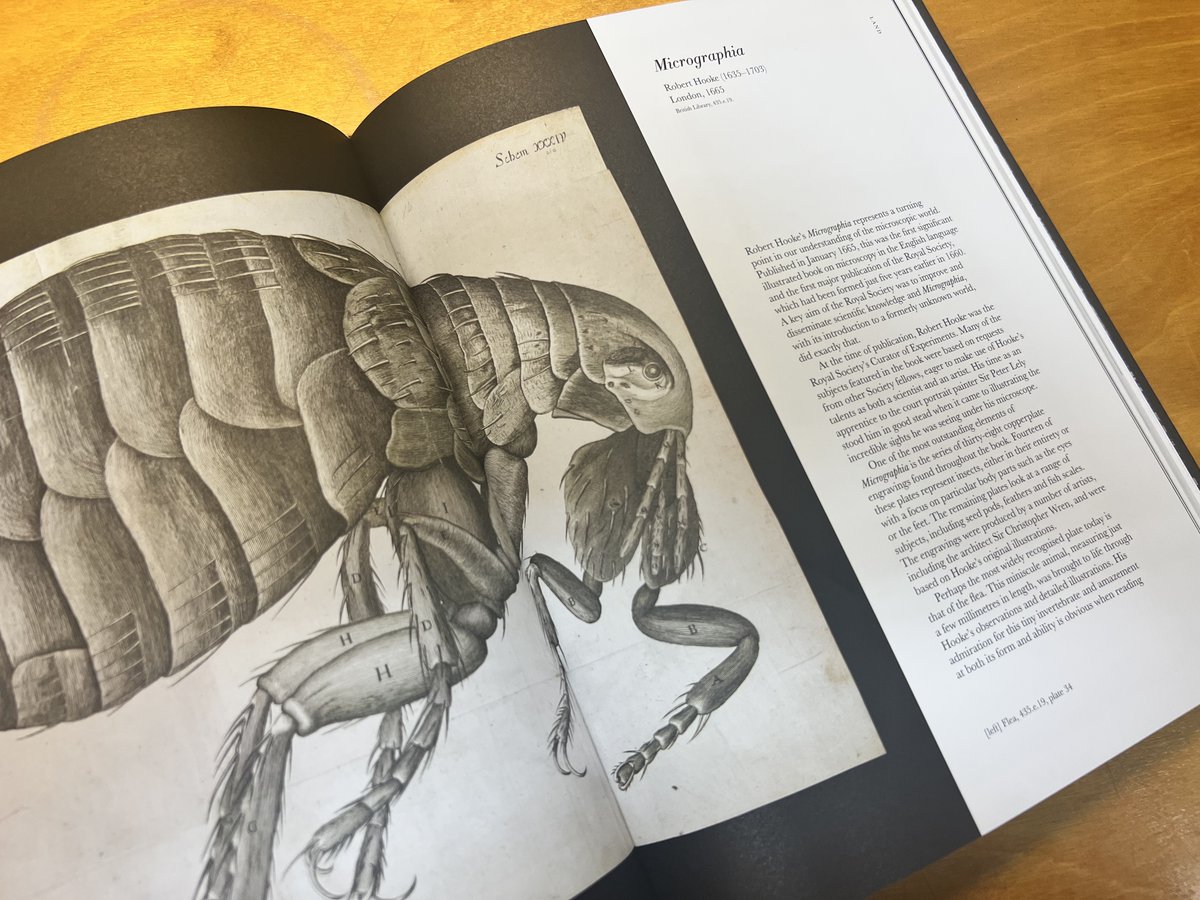 Happy #PublicationDay to 'Animals: Art, Science and Sound', the accompanying title to the <a href="/britishlibrary/">British Library</a> exhibition that opens today. 

Artworks, manuscripts and sound recordings come together in this compendium of the greatest and strangest representations of animals on record.